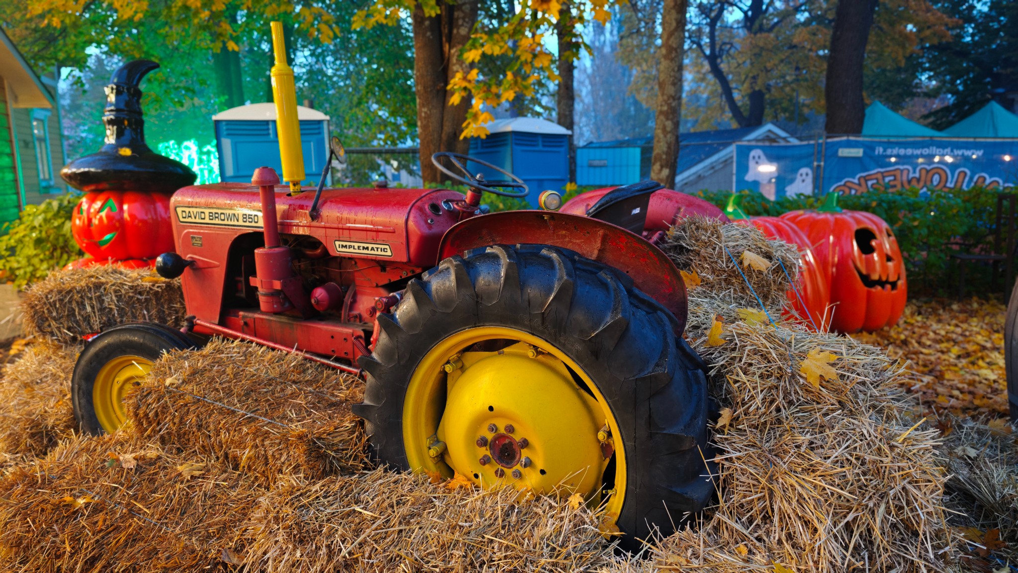 IMG 20251014 182650 copy